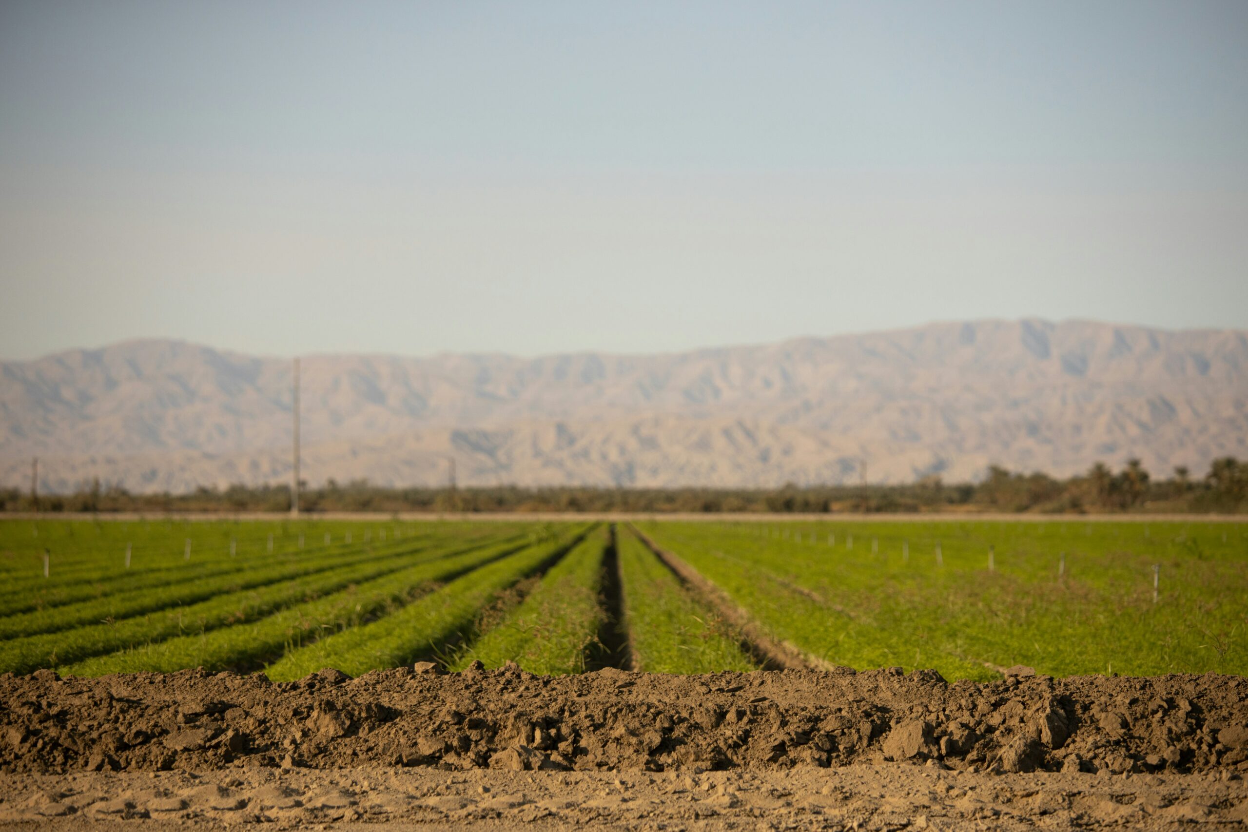 Vistaar Agrotech Embarks on a New Journey with Invest Madhya Pradesh